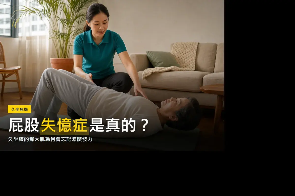 gluteus amnesia 文章配圖